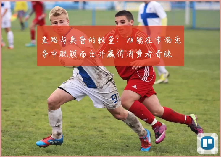 查路与奥普的较量：谁能在市场竞争中脱颖而出并赢得消费者青睐