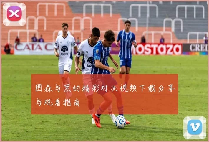 图森与黑的精彩对决视频下载分享与观看指南